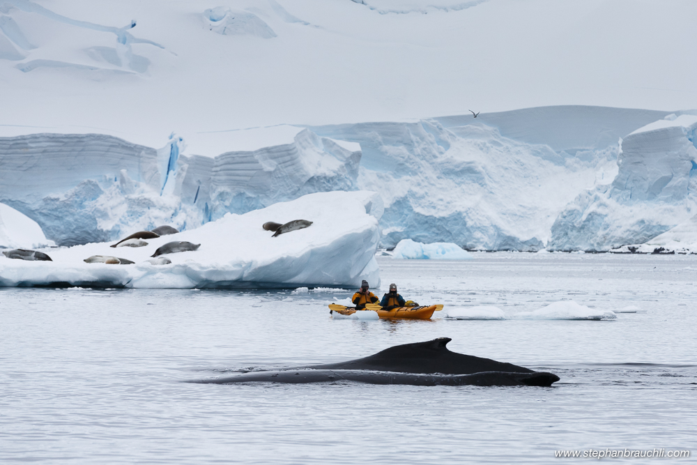 Antarctica