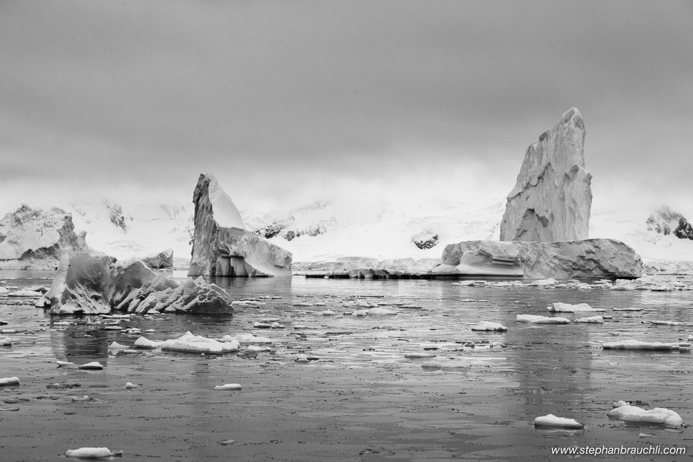 Icebergs in Paradise Bay