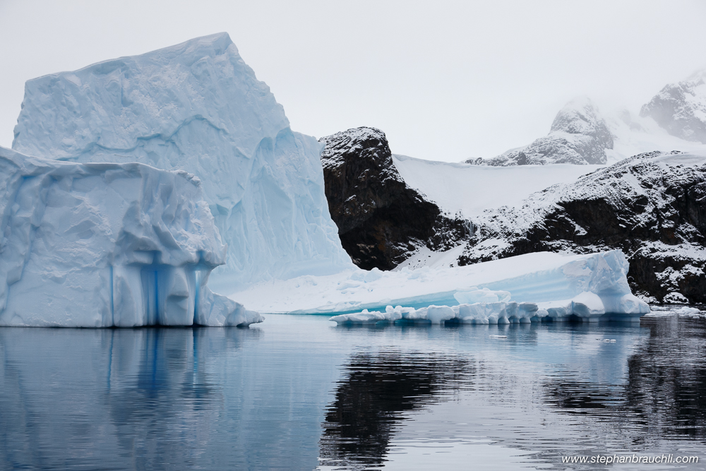 Icebergs in Paradise Bay