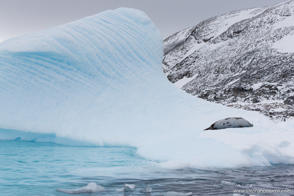 Antarctica